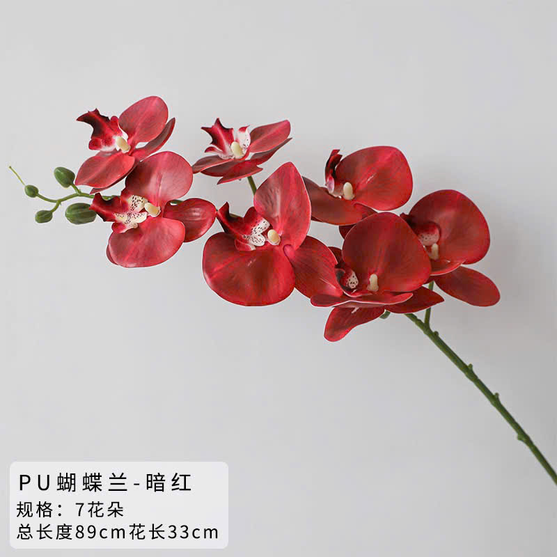 Hoa lan hồ điệp giả cao cấp