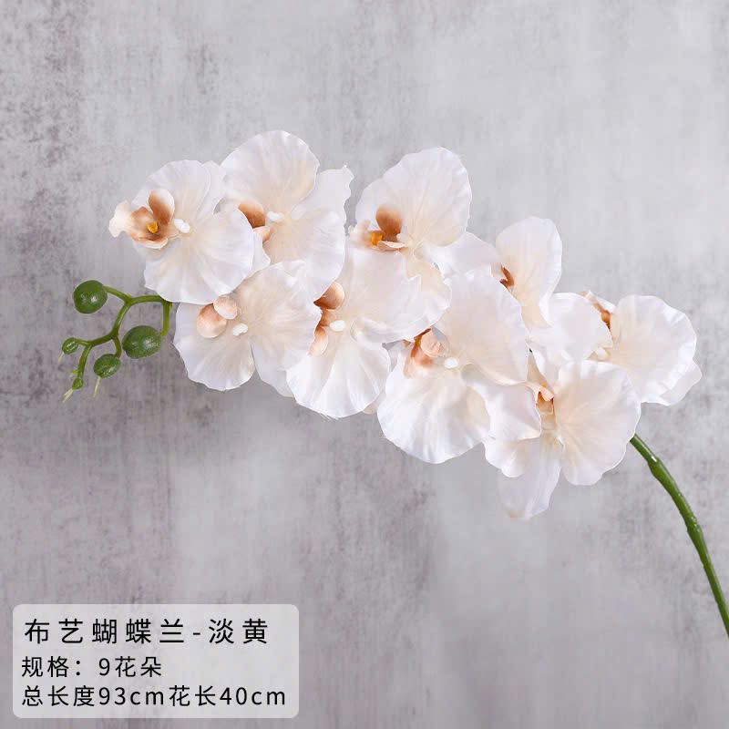 Hoa lan hồ điệp giả cao cấp