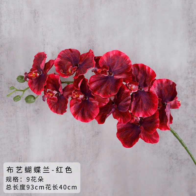 Hoa lan hồ điệp giả cao cấp
